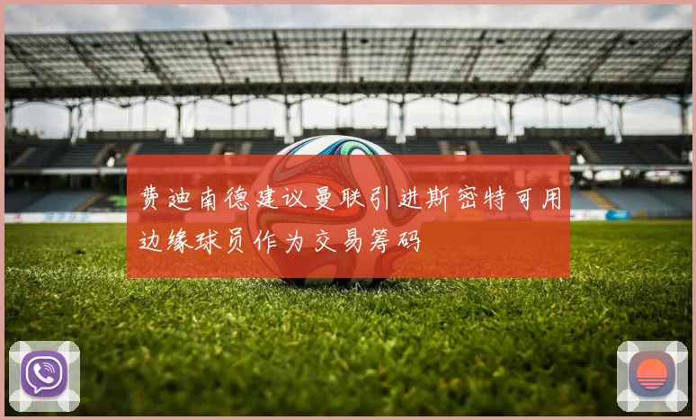 费迪南德建议曼联引进斯密特可用边缘球员作为交易筹码