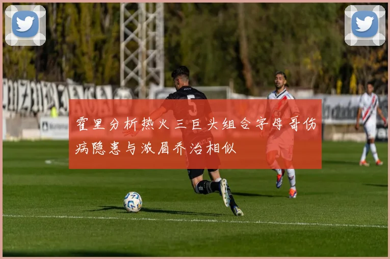 霍里分析热火三巨头组合字母哥伤病隐患与浓眉乔治相似