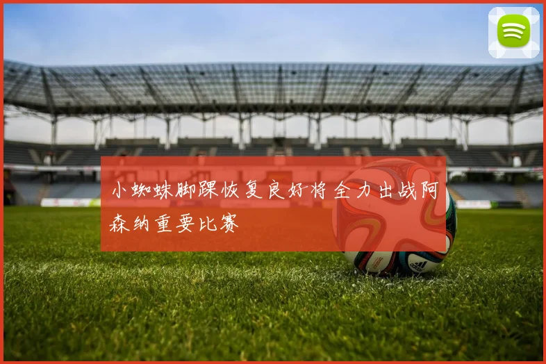 小蜘蛛脚踝恢复良好将全力出战阿森纳重要比赛